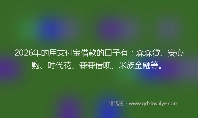 2026年的用支付宝借款的口子有：森森贷、安心购、时代花、森森借呗、米族金融等。