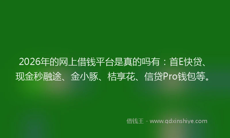 2026年的网上借钱平台是真的吗有：首E快贷、现金秒融途、金小豚、桔享花、信贷Pro钱包等。