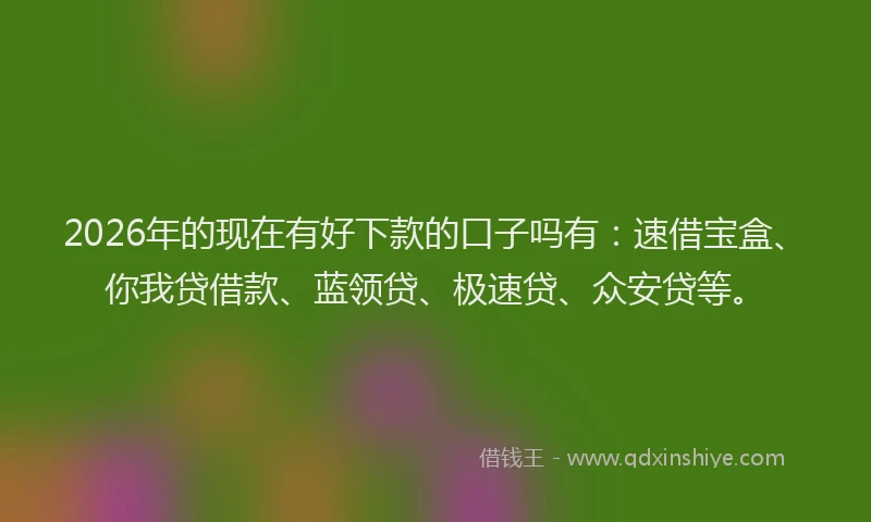 2026年的现在有好下款的口子吗有：速借宝盒、你我贷借款、蓝领贷、极速贷、众安贷等。