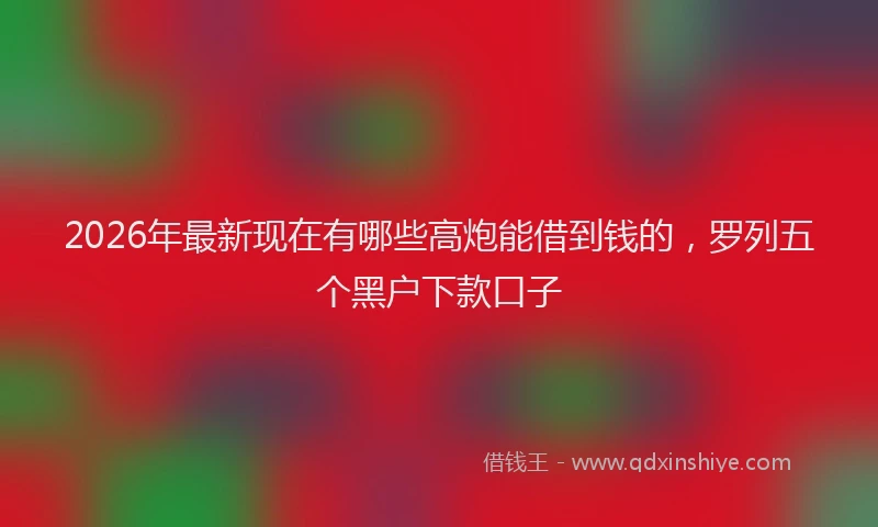 2026年最新现在有哪些高炮能借到钱的，罗列五个黑户下款口子