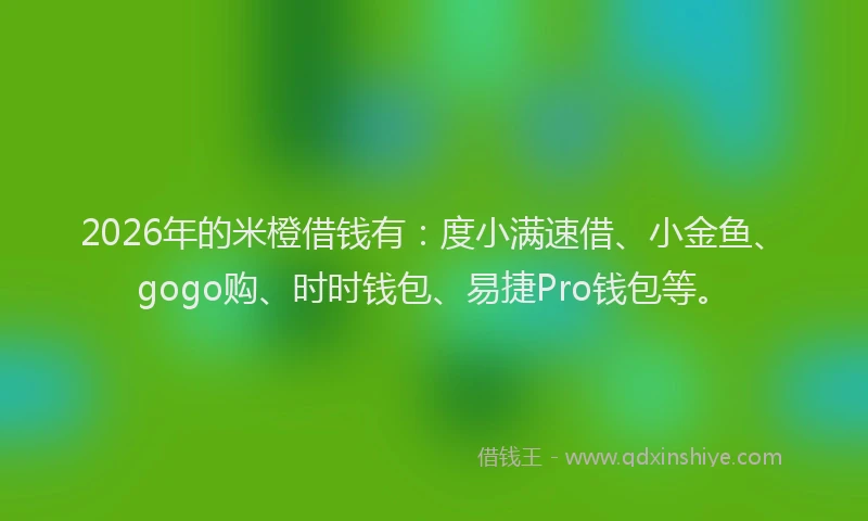2026年的米橙借钱有：度小满速借、小金鱼、gogo购、时时钱包、易捷Pro钱包等。