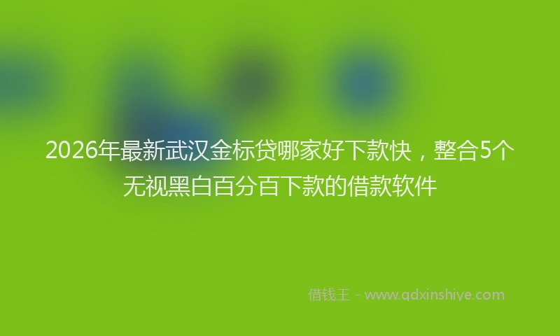 2026年最新武汉金标贷哪家好下款快，整合5个无视黑白百分百下款的借款软件