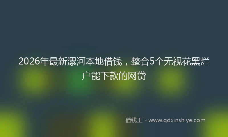 2026年最新漯河本地借钱，整合5个无视花黑烂户能下款的网贷