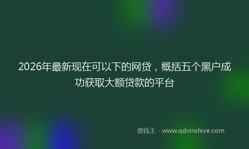 2026年最新现在可以下的网贷，概括五个黑户成功获取大额贷款的平台
