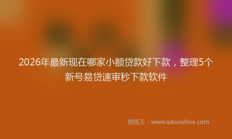 2026年最新现在哪家小额贷款好下款，整理5个新号易贷速审秒下款软件