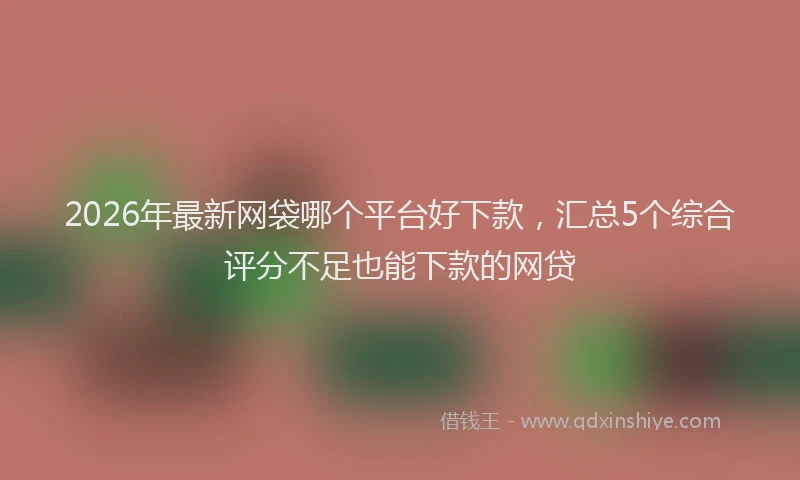 2026年最新网袋哪个平台好下款，汇总5个综合评分不足也能下款的网贷