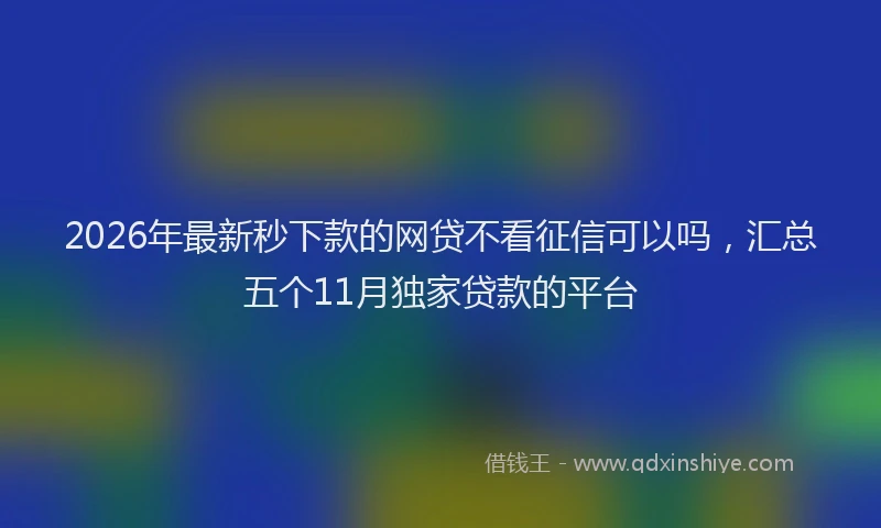 2026年最新秒下款的网贷不看征信可以吗，汇总五个11月独家贷款的平台