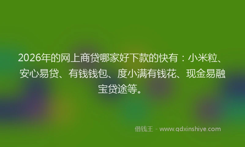 2026年的网上商贷哪家好下款的快有：小米粒、安心易贷、有钱钱包、度小满有钱花、现金易融宝贷途等。