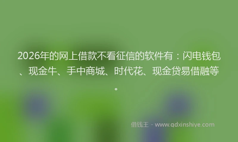 2026年的网上借款不看征信的软件有：闪电钱包、现金牛、手中商城、时代花、现金贷易借融等。