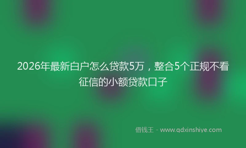 2026年最新白户怎么贷款5万，整合5个正规不看征信的小额贷款口子