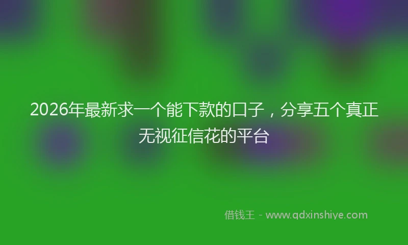 2026年最新求一个能下款的口子，分享五个真正无视征信花的平台