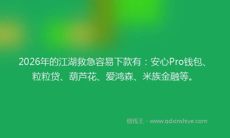 2026年的江湖救急容易下款有：安心Pro钱包、粒粒贷、葫芦花、爱鸿森、米族金融等。