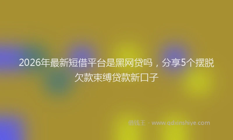2026年最新短借平台是黑网贷吗，分享5个摆脱欠款束缚贷款新口子