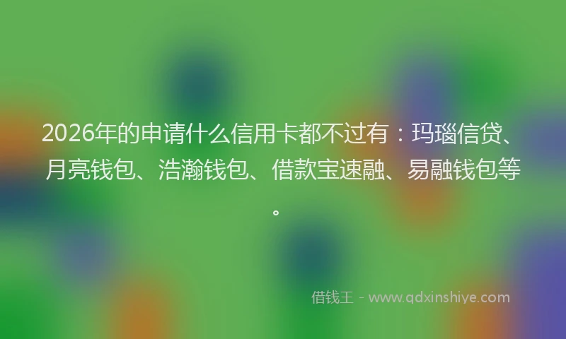 2026年的申请什么信用卡都不过有：玛瑙信贷、月亮钱包、浩瀚钱包、借款宝速融、易融钱包等。