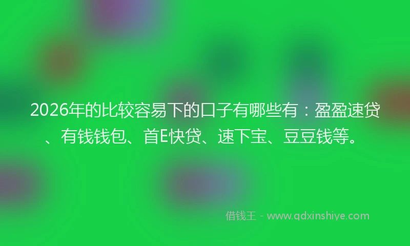 2026年的比较容易下的口子有哪些有：盈盈速贷、有钱钱包、首E快贷、速下宝、豆豆钱等。