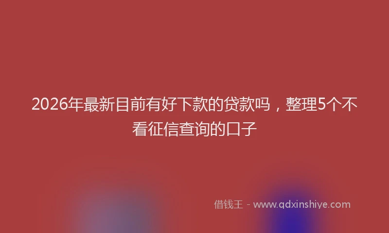 2026年最新目前有好下款的贷款吗，整理5个不看征信查询的口子