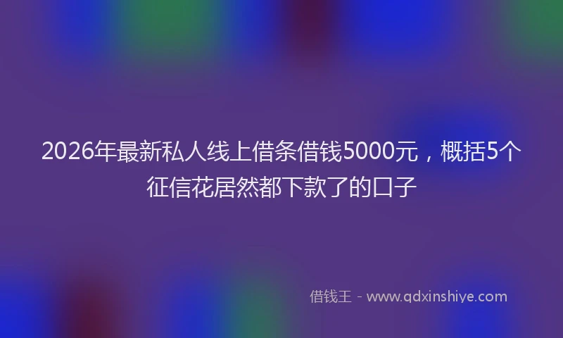 2026年最新私人线上借条借钱5000元，概括5个征信花居然都下款了的口子