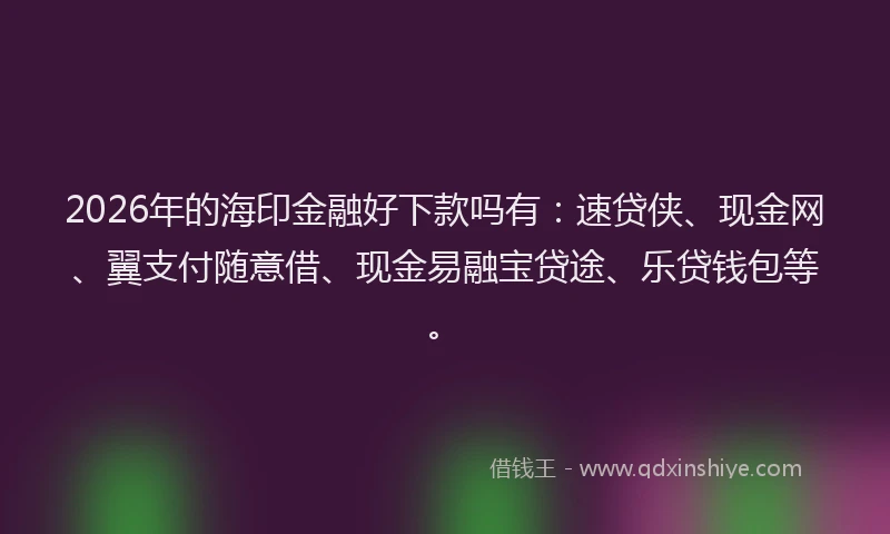 2026年的海印金融好下款吗有：速贷侠、现金网、翼支付随意借、现金易融宝贷途、乐贷钱包等。