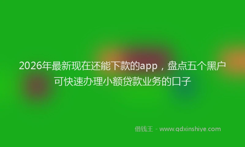 2026年最新现在还能下款的app，盘点五个黑户可快速办理小额贷款业务的口子