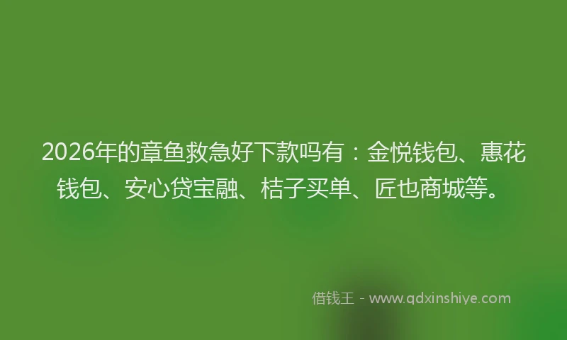 2026年的章鱼救急好下款吗有：金悦钱包、惠花钱包、安心贷宝融、桔子买单、匠也商城等。