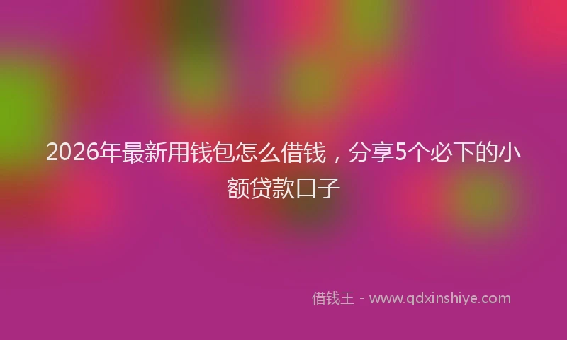 2026年最新用钱包怎么借钱，分享5个必下的小额贷款口子