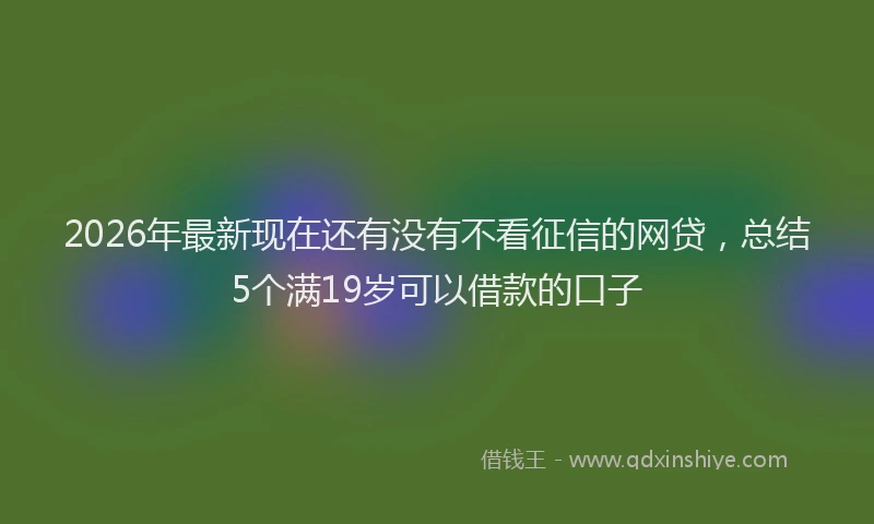 2026年最新现在还有没有不看征信的网贷，总结5个满19岁可以借款的口子