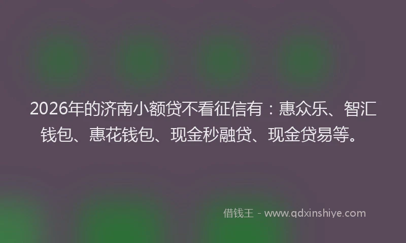 2026年的济南小额贷不看征信有：惠众乐、智汇钱包、惠花钱包、现金秒融贷、现金贷易等。