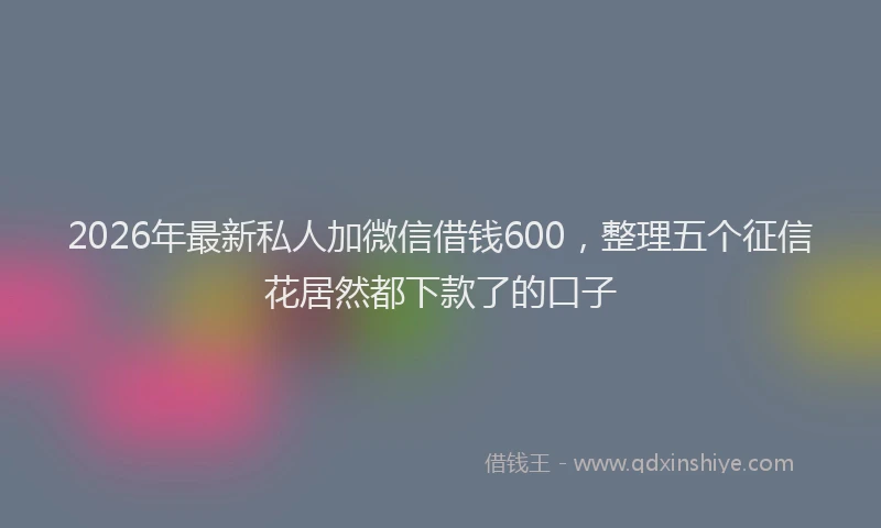 2026年最新私人加微信借钱600，整理五个征信花居然都下款了的口子