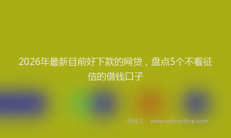 2026年最新目前好下款的网贷，盘点5个不看征信的借钱口子