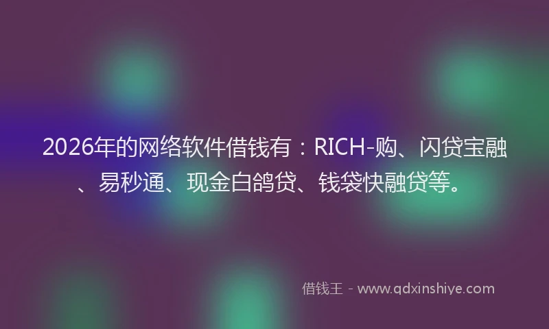 2026年的网络软件借钱有：RICH-购、闪贷宝融、易秒通、现金白鸽贷、钱袋快融贷等。