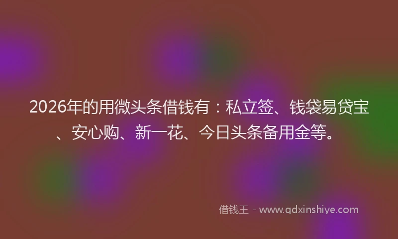 2026年的用微头条借钱有：私立签、钱袋易贷宝、安心购、新一花、今日头条备用金等。