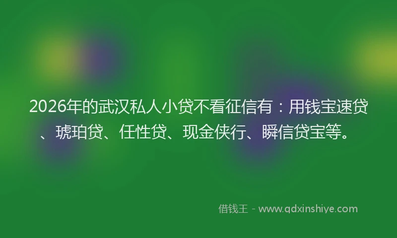 2026年的武汉私人小贷不看征信有：用钱宝速贷、琥珀贷、任性贷、现金侠行、瞬信贷宝等。