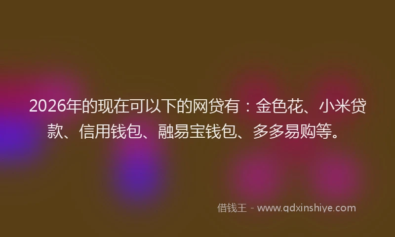 2026年的现在可以下的网贷有：金色花、小米贷款、信用钱包、融易宝钱包、多多易购等。