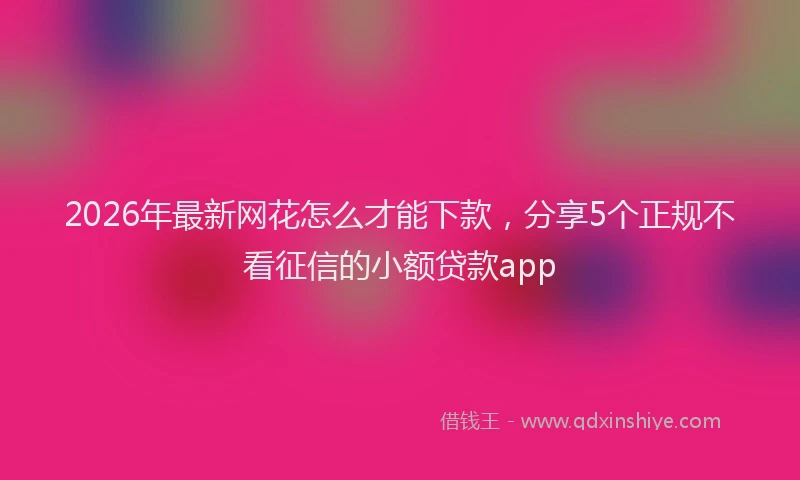 2026年最新网花怎么才能下款，分享5个正规不看征信的小额贷款app