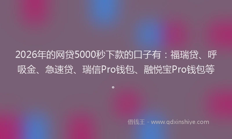 2026年的网贷5000秒下款的口子有：福瑞贷、呼吸金、急速贷、瑞信Pro钱包、融悦宝Pro钱包等。