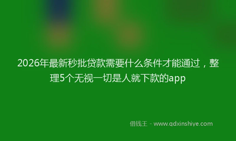 2026年最新秒批贷款需要什么条件才能通过，整理5个无视一切是人就下款的app