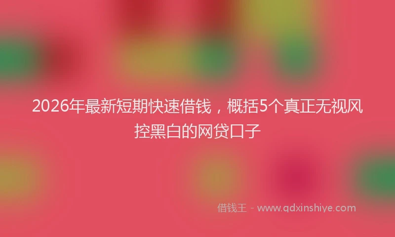 2026年最新短期快速借钱，概括5个真正无视风控黑白的网贷口子