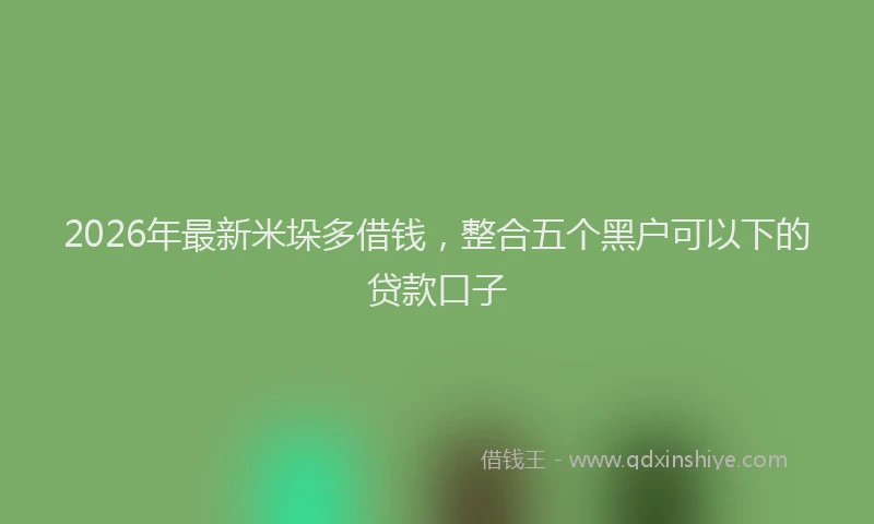 2026年最新米垛多借钱，整合五个黑户可以下的贷款口子