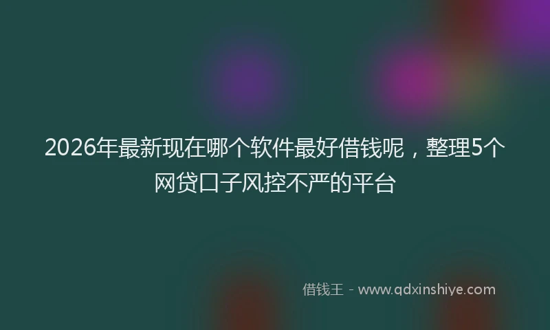 2026年最新现在哪个软件最好借钱呢，整理5个网贷口子风控不严的平台