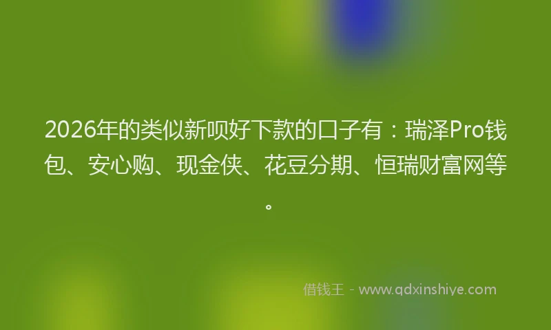 2026年的类似新呗好下款的口子有：瑞泽Pro钱包、安心购、现金侠、花豆分期、恒瑞财富网等。