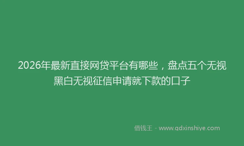 2026年最新直接网贷平台有哪些，盘点五个无视黑白无视征信申请就下款的口子