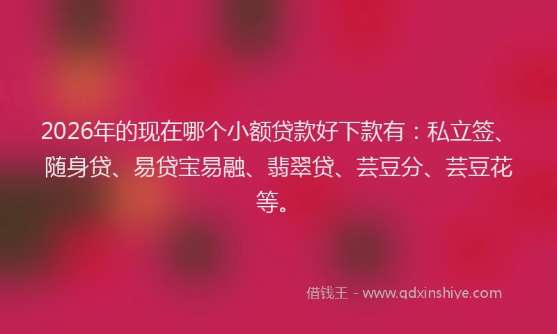 2026年的现在哪个小额贷款好下款有：私立签、随身贷、易贷宝易融、翡翠贷、芸豆分、芸豆花等。
