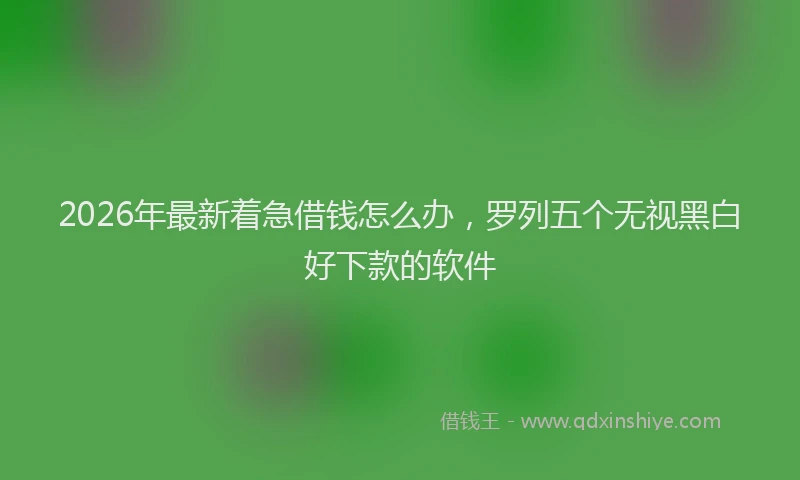 2026年最新着急借钱怎么办，罗列五个无视黑白好下款的软件