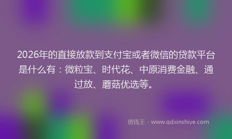 2026年的直接放款到支付宝或者微信的贷款平台是什么有：微粒宝、时代花、中原消费金融、通过放、蘑菇优选等。