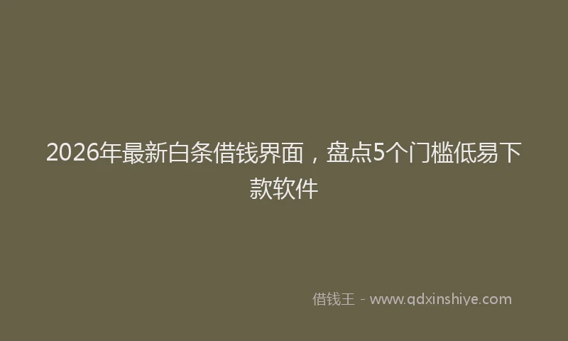 2026年最新白条借钱界面，盘点5个门槛低易下款软件