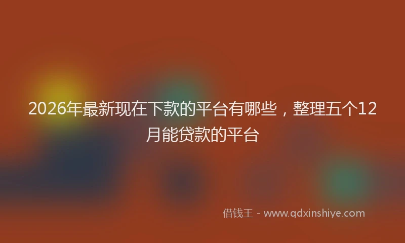2026年最新现在下款的平台有哪些，整理五个12月能贷款的平台