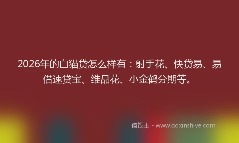 2026年的白猫贷怎么样有：射手花、快贷易、易借速贷宝、维品花、小金鹤分期等。