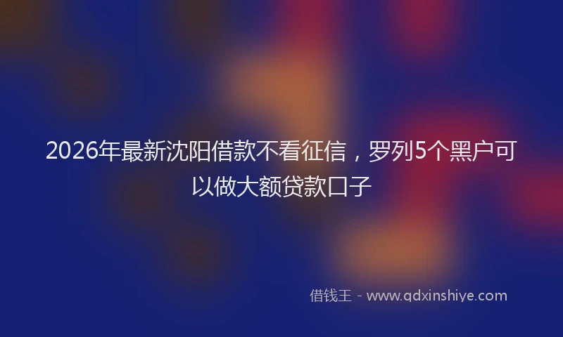 2026年最新沈阳借款不看征信，罗列5个黑户可以做大额贷款口子