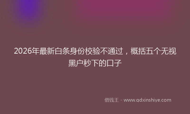 2026年最新白条身份校验不通过，概括五个无视黑户秒下的口子