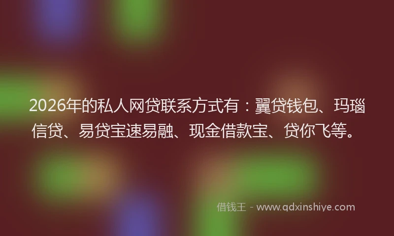 2026年的私人网贷联系方式有：翼贷钱包、玛瑙信贷、易贷宝速易融、现金借款宝、贷你飞等。